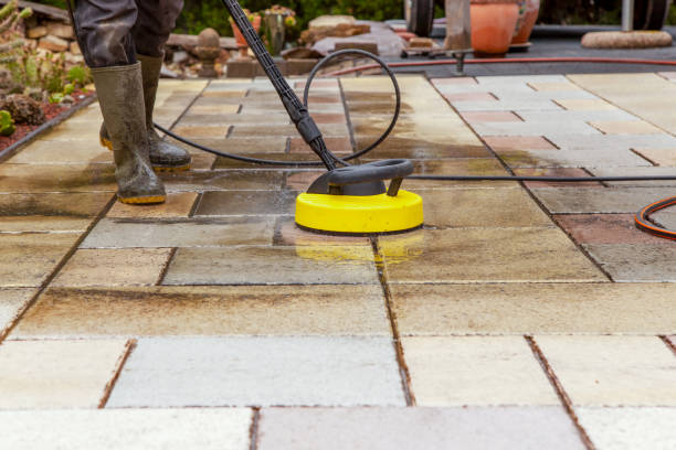 Best Roof Washing  in Three Rivers, CA